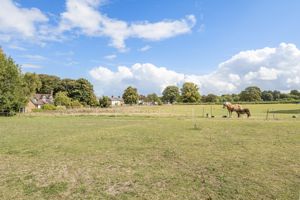 Photo 21- click for photo gallery